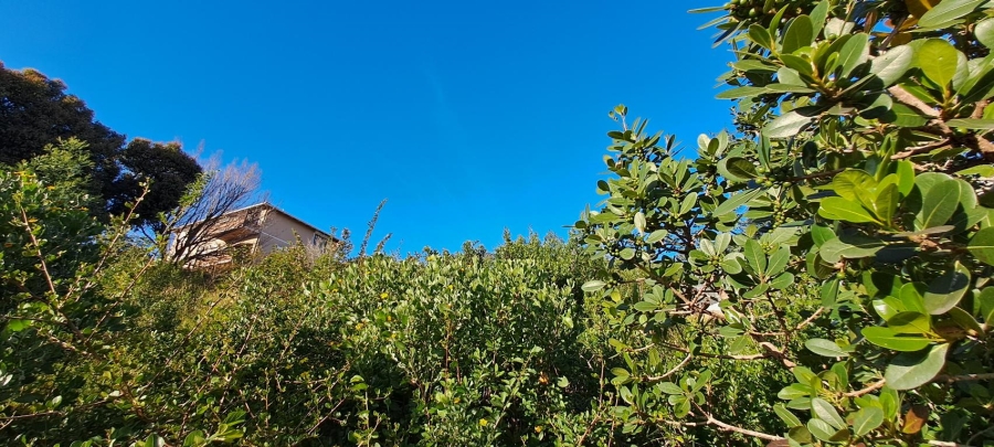 0 Bedroom Property for Sale in Upper Robberg Western Cape